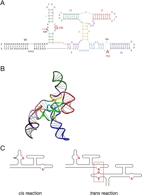 FIGURE 1.