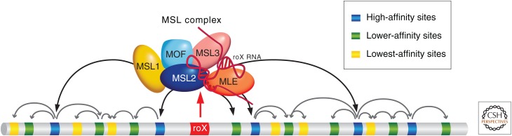 Figure 9.