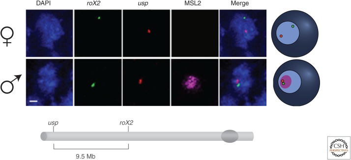 Figure 10.