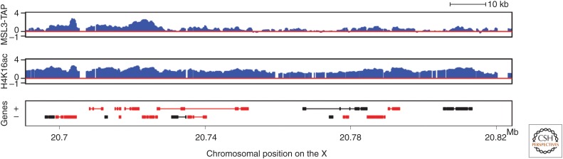 Figure 7.