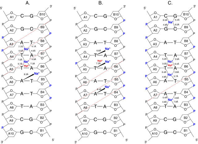 FIGURE 17