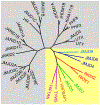 Fig. 1.