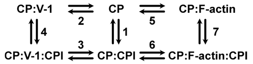 Figure 11.