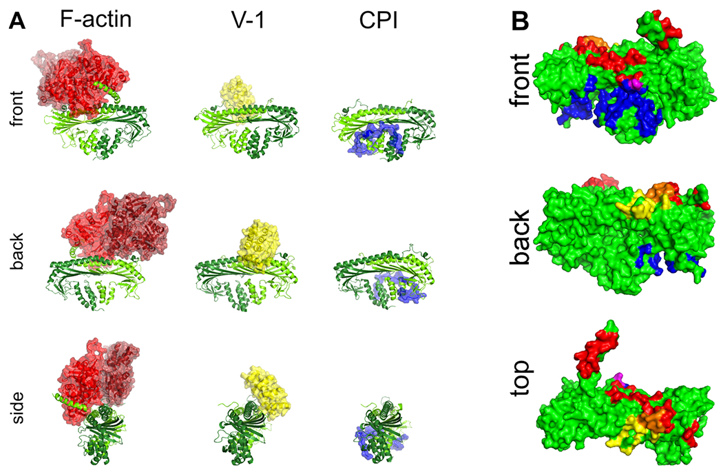 Figure 2.