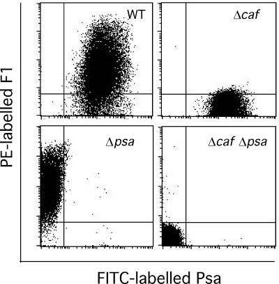 FIG. 5.