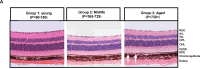 Figure 5: