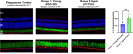 Figure 6: