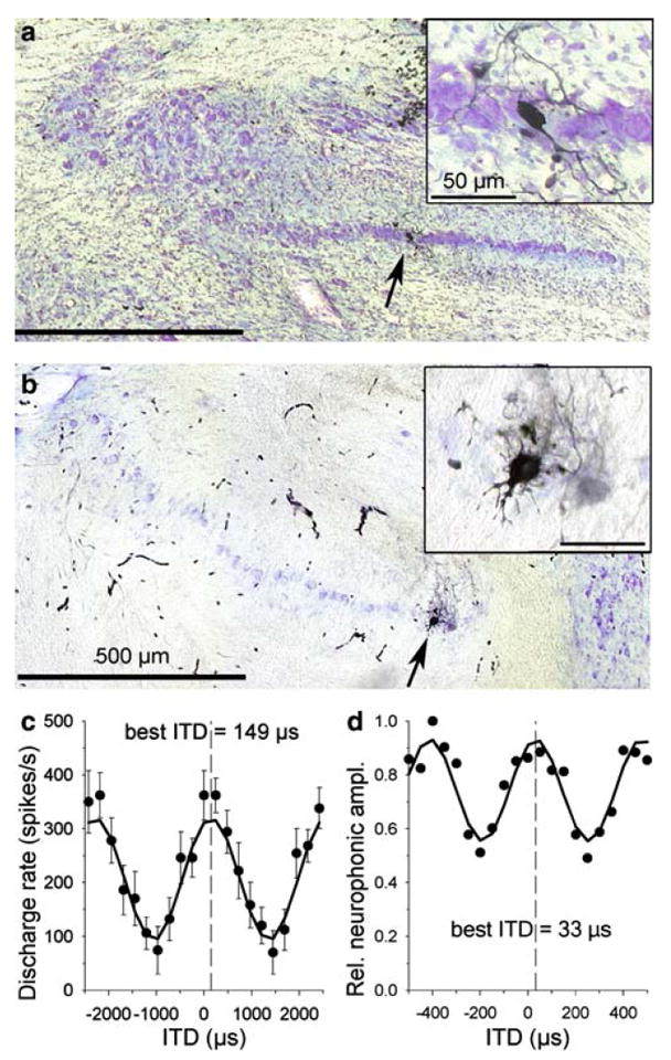 Fig. 13