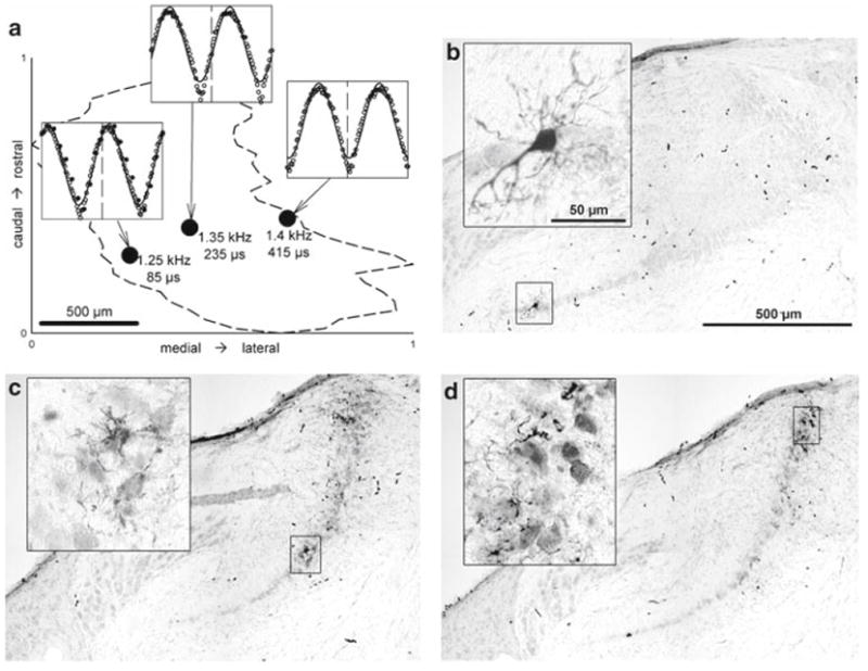 Fig. 14