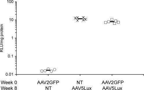 FIG. 7.