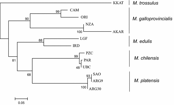 Fig. 5