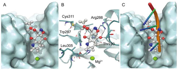 Figure 6