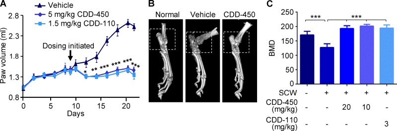 Figure 5.