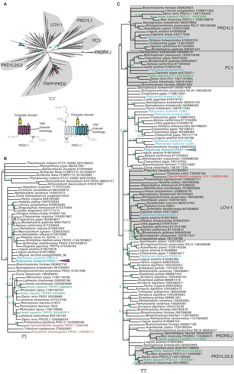 Figure 3—figure supplement 1.