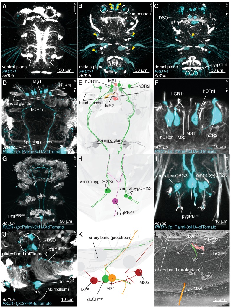 Figure 3—figure supplement 3.