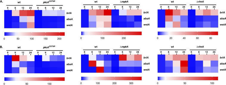 FIG 3