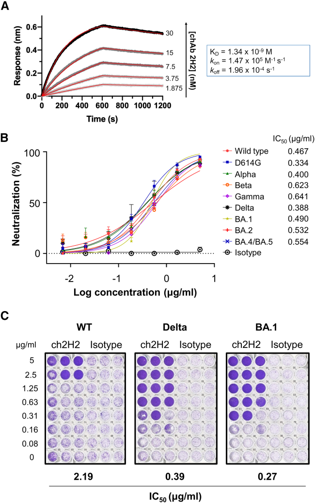 Figure 4