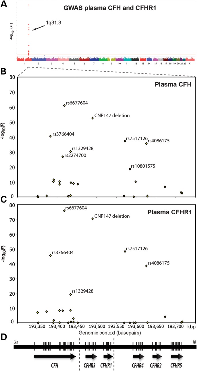 Figure 1.