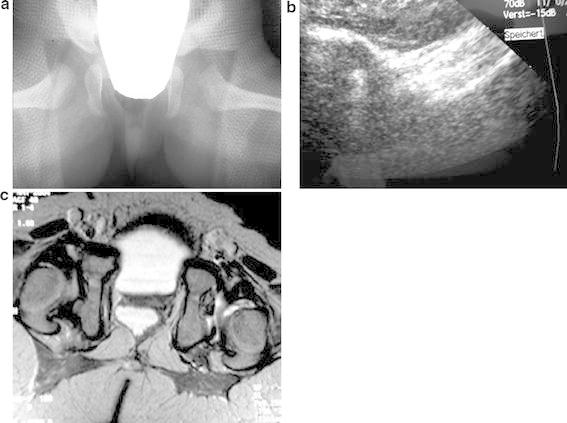 Fig. 5