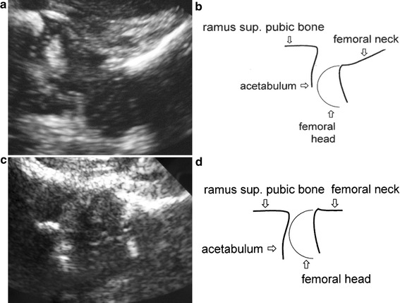 Fig. 4