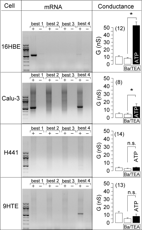 FIGURE 4.