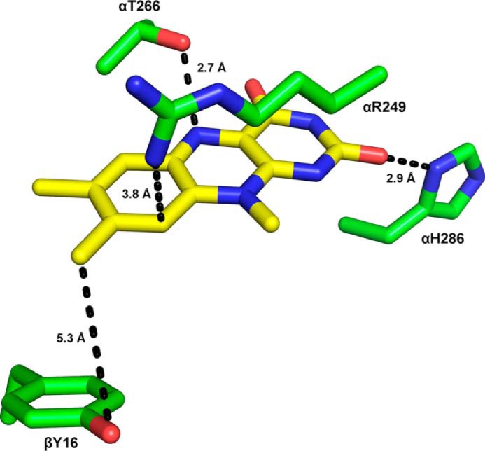 Figure 5.