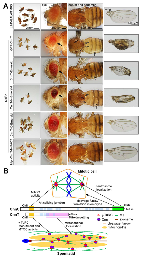 Figure 7.