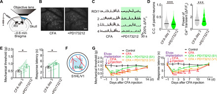 Fig. 9