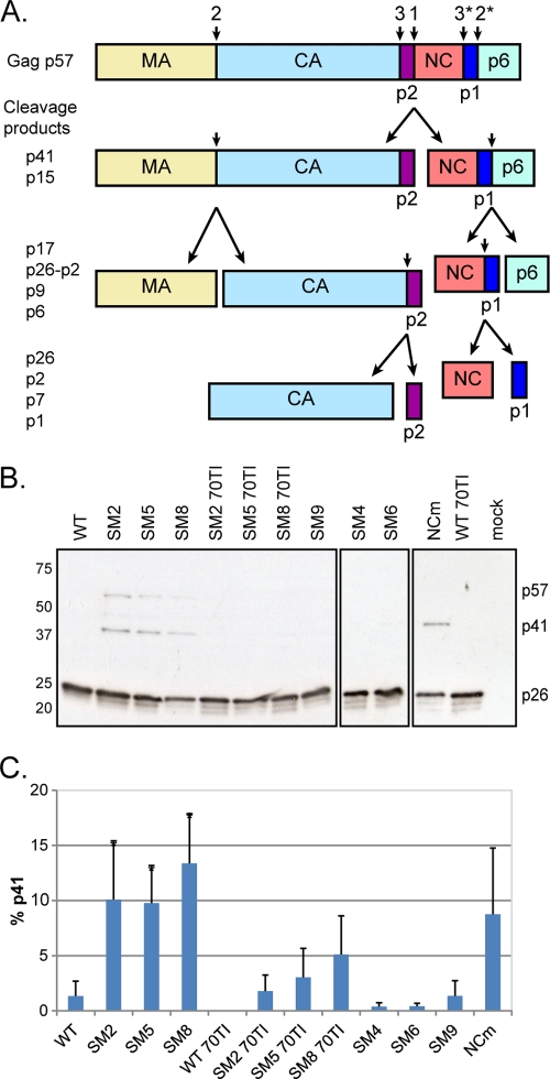 Fig 4