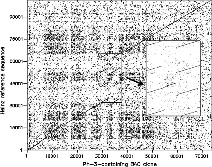 Fig. 2