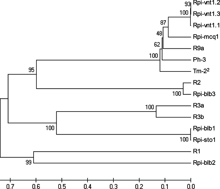 Fig. 7