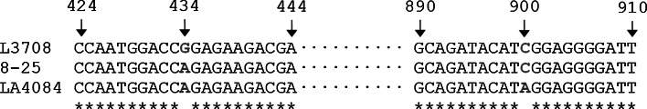 Fig. 4