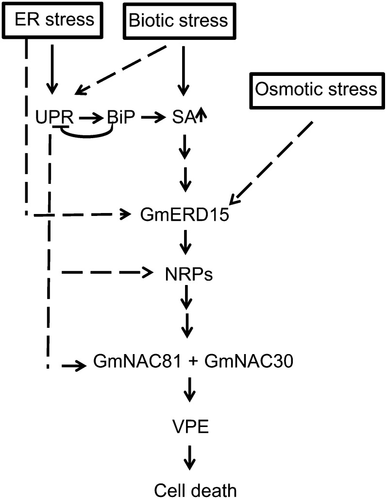 Figure 11.