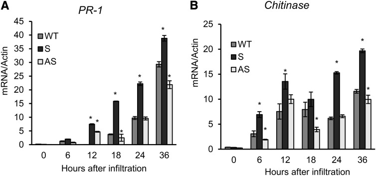 Figure 10.