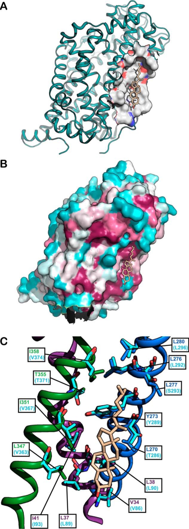 Figure 1.