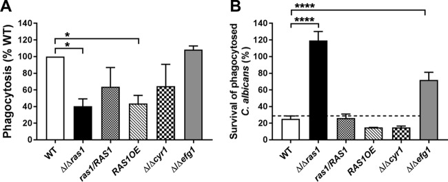 FIG 3