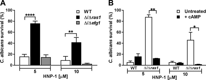 FIG 6