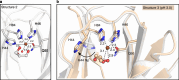 Extended Data Fig. 5