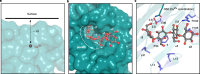 Extended Data Fig. 6