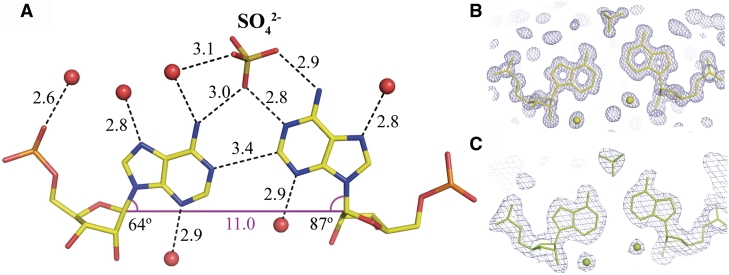 Figure 2.