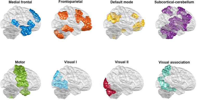 FIGURE 1