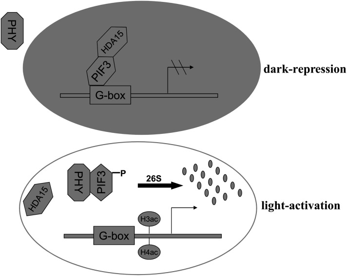 Figure 9.