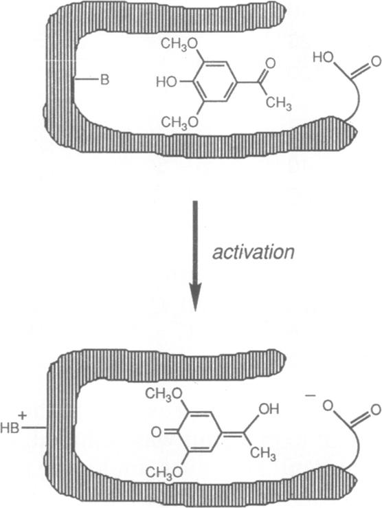 graphic file with name pnas01067-0409-a.jpg