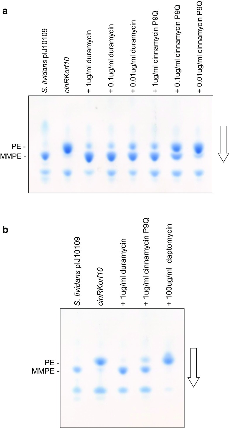 Fig. 6