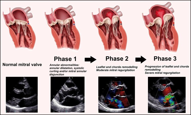 Figure 3: