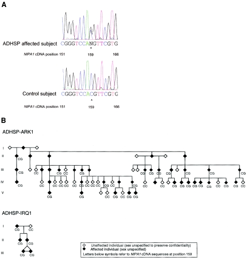 Figure  1