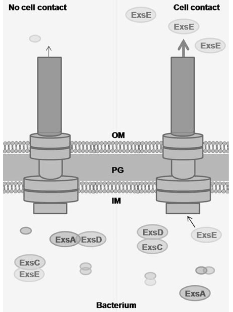 Fig. (3)