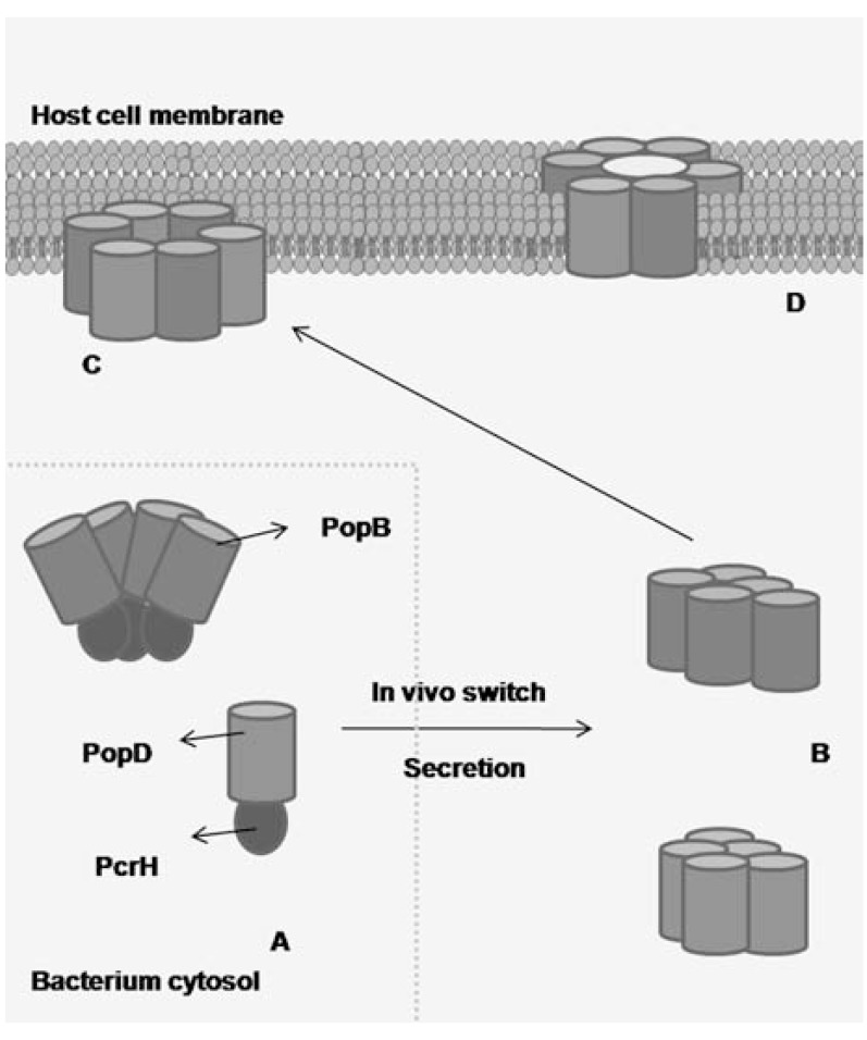 Fig. (4)