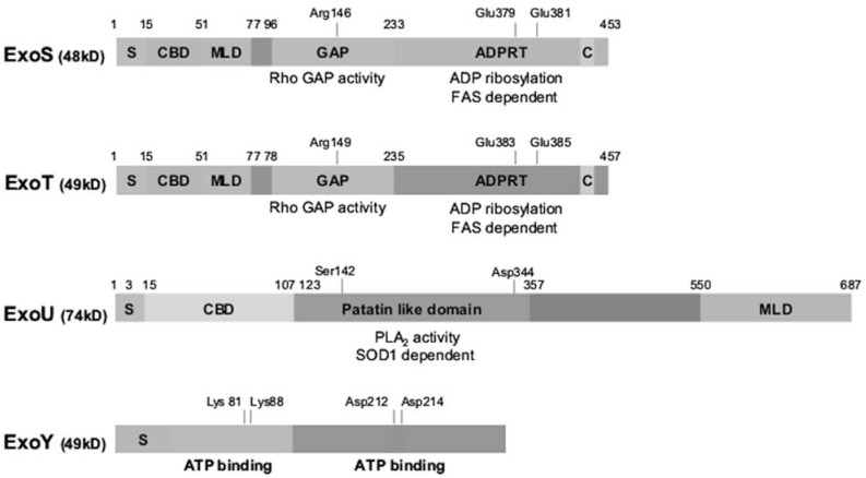 Fig. (2)