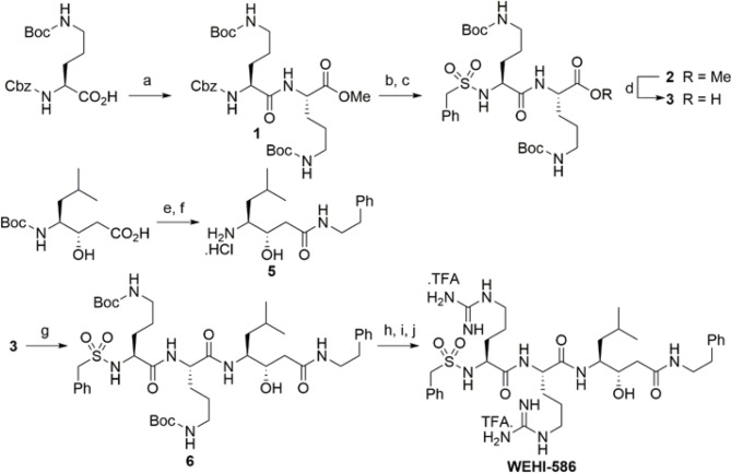 Figure 2—figure supplement 4.